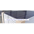 Effizienz Poly PV Solar Panel 300W für Solar Energy Plant!